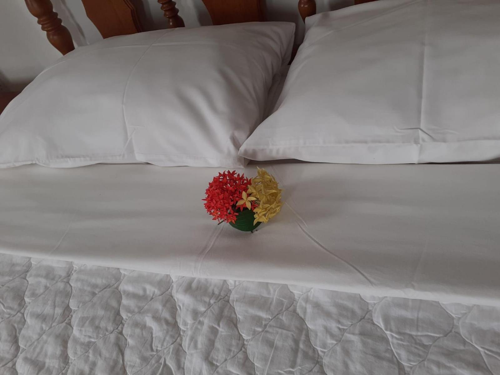 Gigi'S Self Catering Apartment Port Glaud Екстер'єр фото