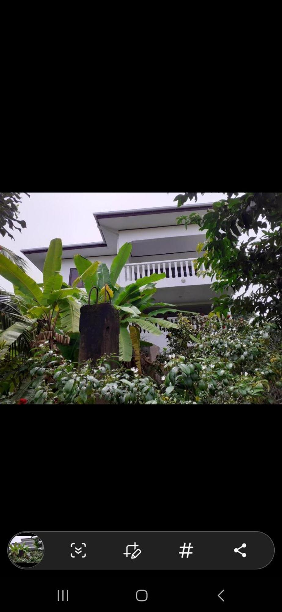 Gigi'S Self Catering Apartment Port Glaud Екстер'єр фото